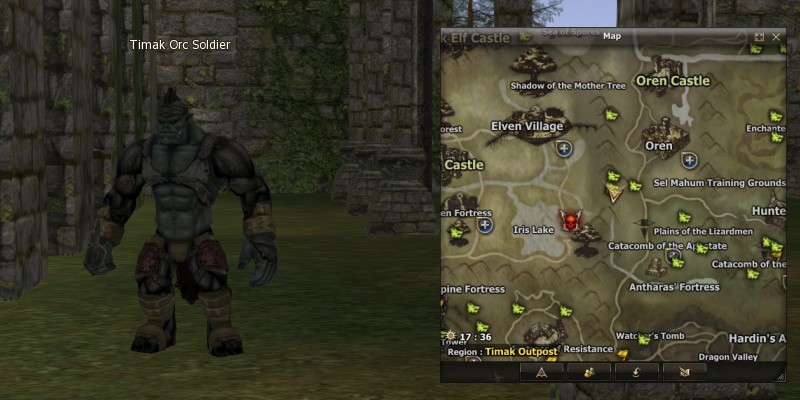 Timak Orc Soldier mw