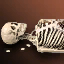Kasandra's Remains