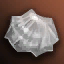 Middle-Grade Lizard Scale