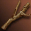 Rotting Tree Branch