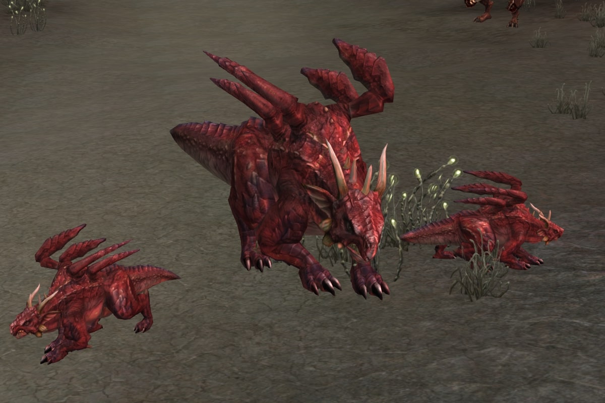 Magma Drake Mother eternal