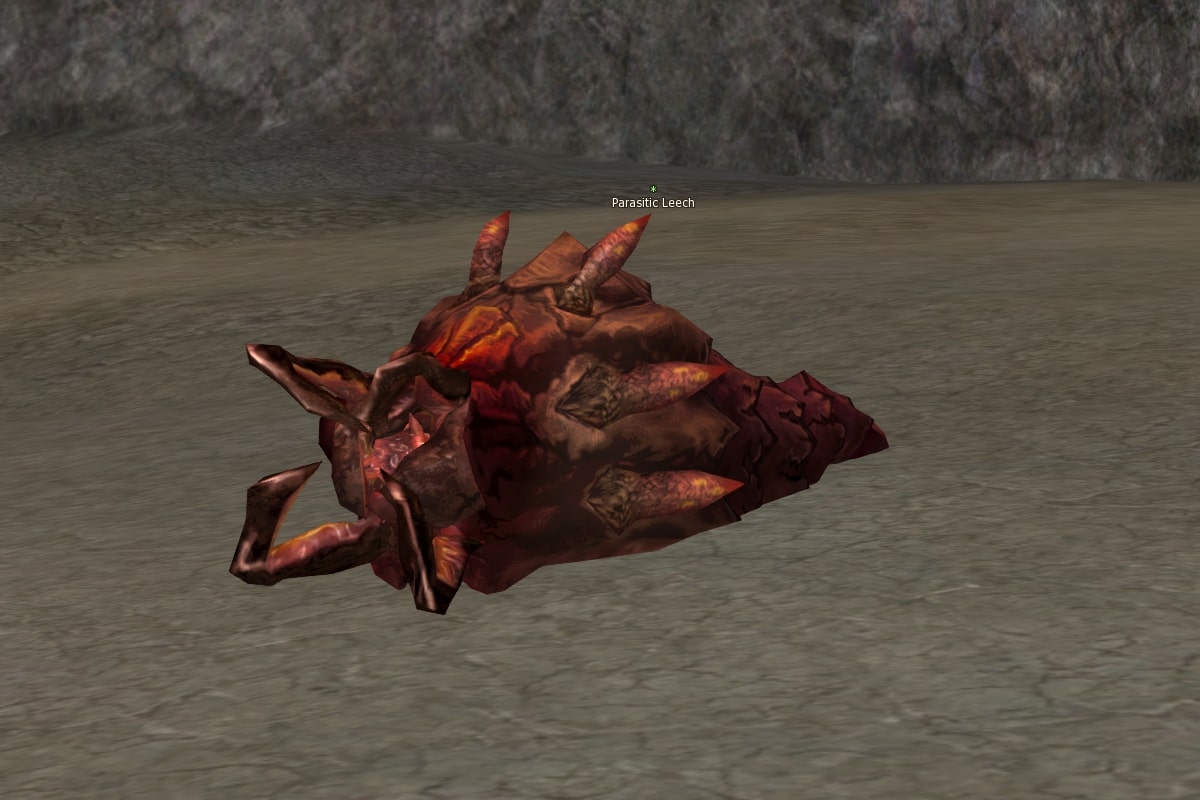 Parasitic Leech eternal