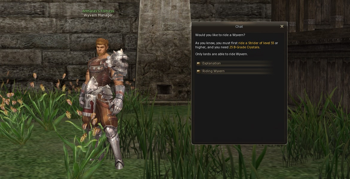 Wyvern Manager mw