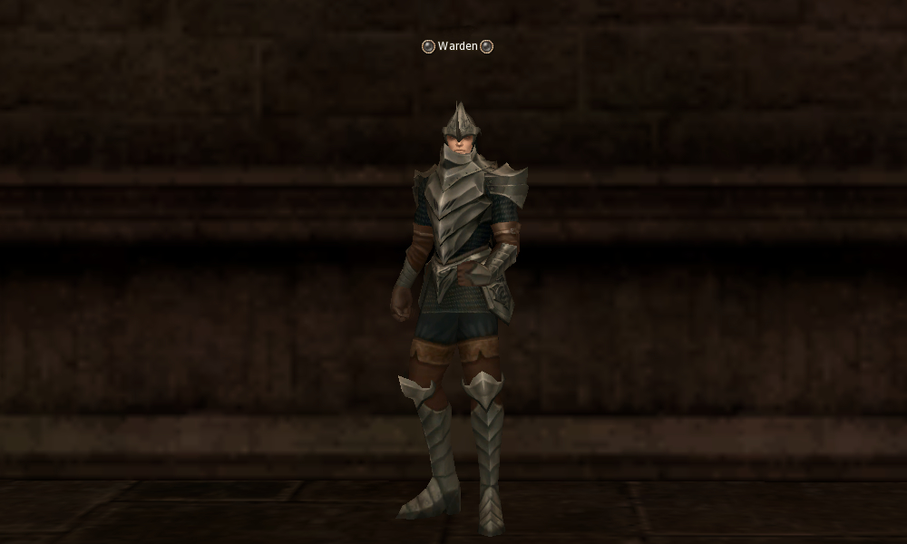 Warden mw