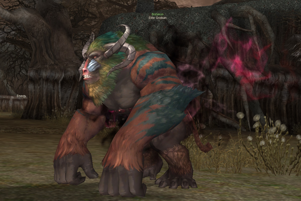 Elite Groikan eternal