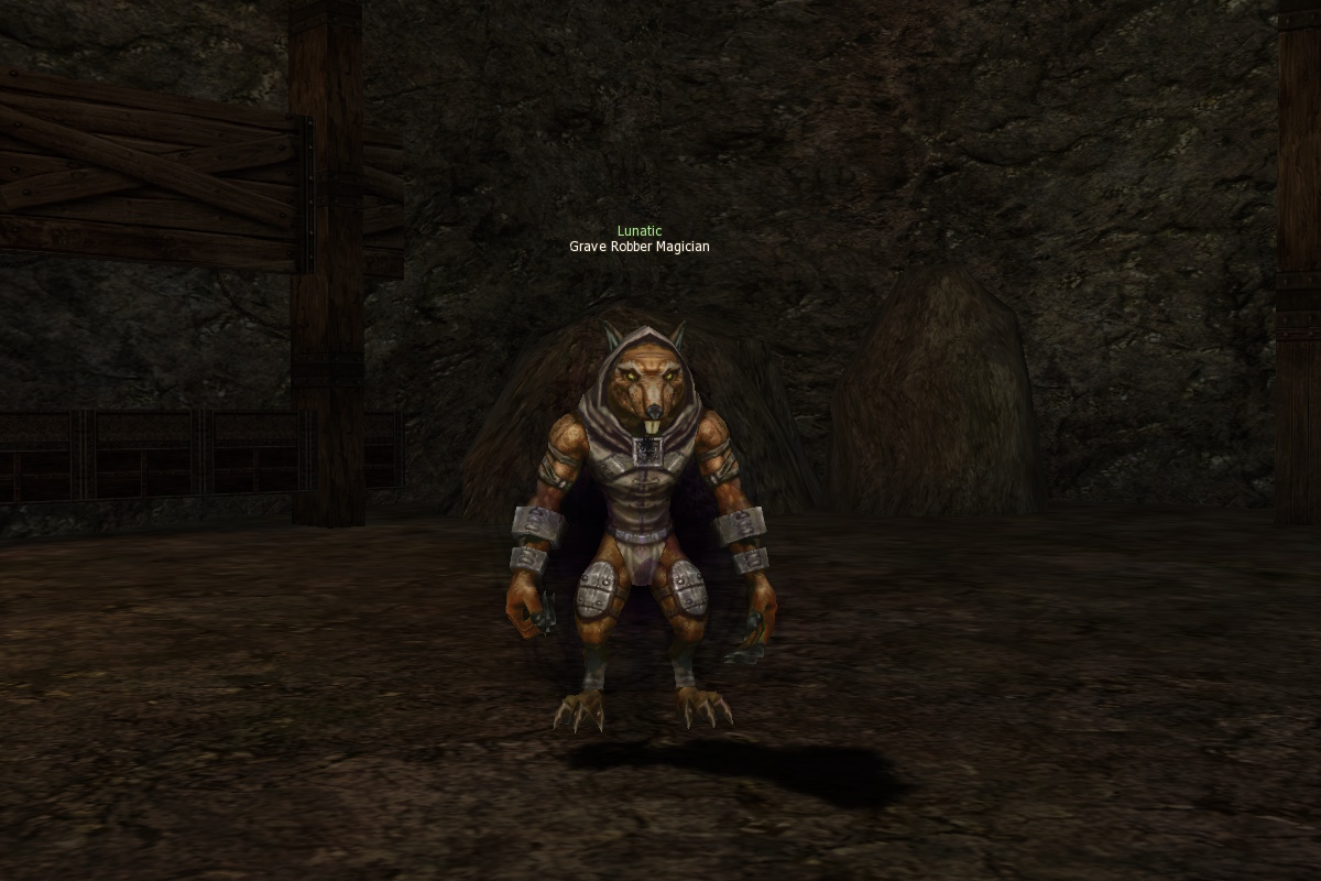 Grave Robber Magician mw