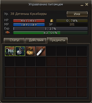 pet interface inventory eternal